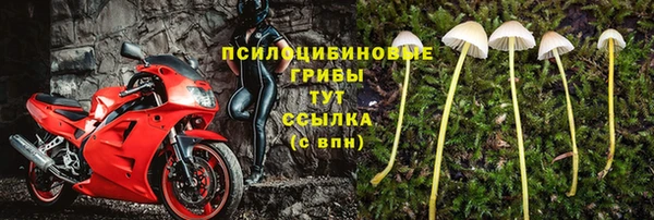 а пвп мука Касимов