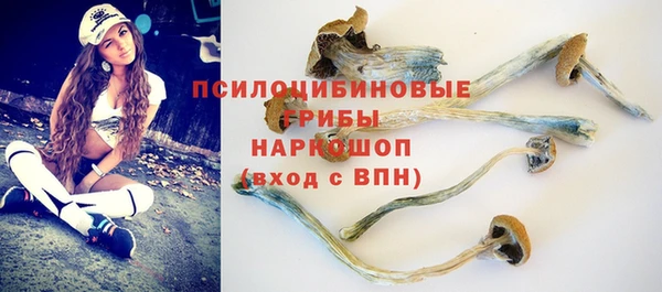 первитин Карпинск
